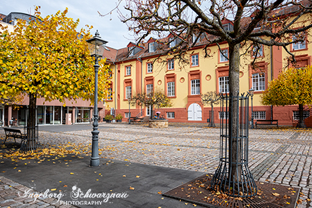 Kirchheimbolanden