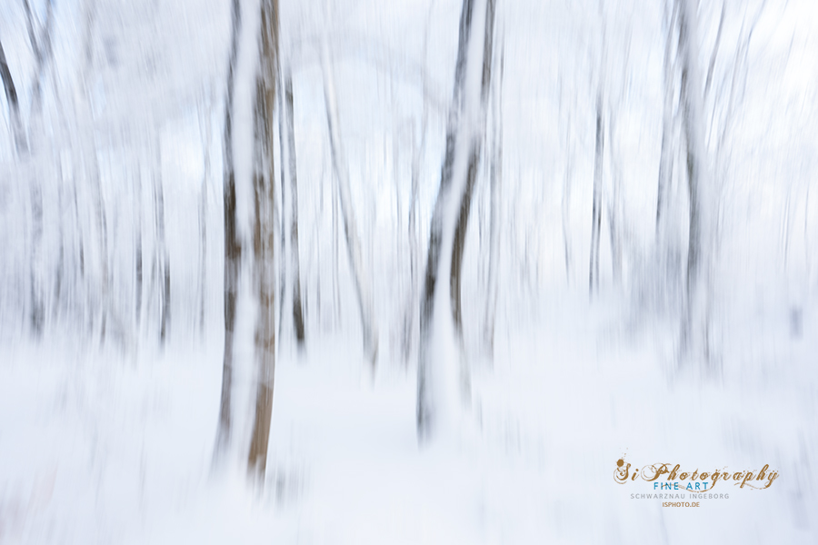 SI Fotografie - Landschaftsfotografie, Makrofotografie, Tierfotografie
