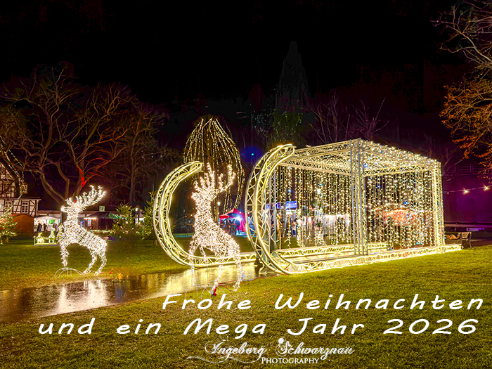 Frohe Weihnachten und ein Mega Jahr 2026