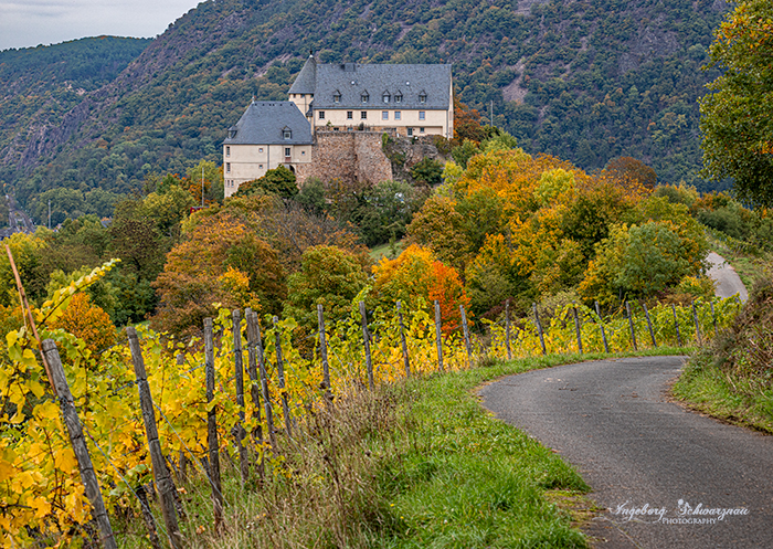 Burg Ebernburg