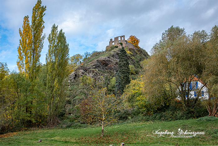 Burgruine Falkenstein im Herbst 136