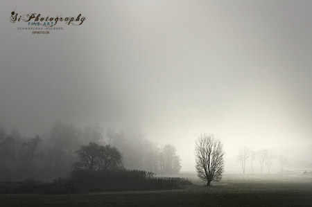Landschaft Nebel