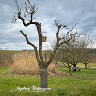 Wandern - Stahlberg/Neubau