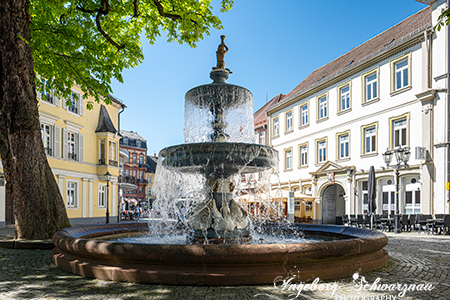 Kaiserslautern 4