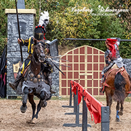 Freisen Rittershow