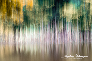 ICM Wald