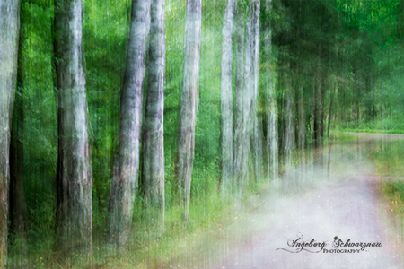 ICM Fotografie
