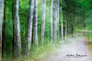 ICM Fotografie