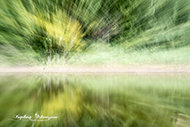 ICM Weiher