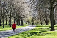 Kaiserslautern Volkspark