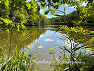 Retzberg Weiher