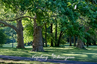 Kaiserslautern Volkspark