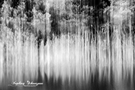 Infrarot Weiher