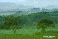 Mehrfachbelichtung Landschaft