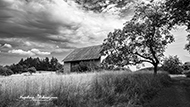 S/W Landschaften