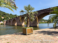 Heidelberg Schifffahrt