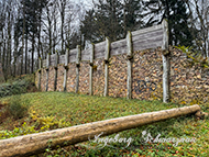 Donnersberg-Keltenweg