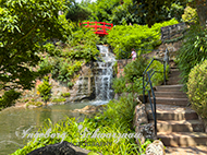Japanischer Garten