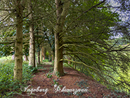 Wandern-Messersbacherhof