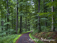 Winnweiler zum Thronfels