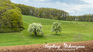 Wandern Pörrbach
