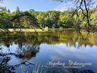 Retzbergweiher
