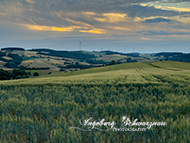 Wandern - Reichenbach Steegen